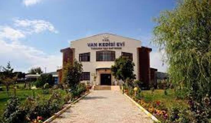 Van Kedi Evi