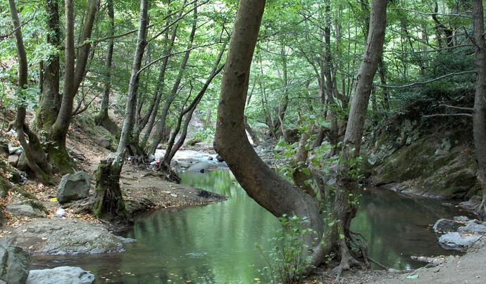 Üvezpınar