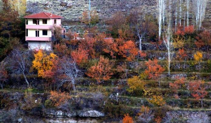 Niğde Kayardı Bağları