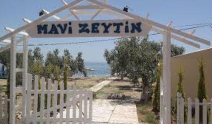 Mavi Zeytin Kahvaltı Bahçesi