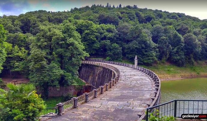 Belgrad Ormanı