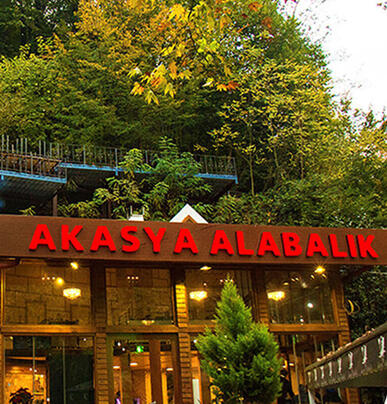 Akasya Alabalık