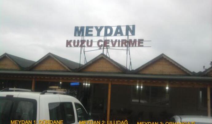 Meydan Kuzu Çevirme