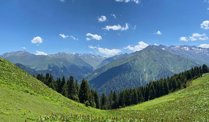 Pokut Yaylası