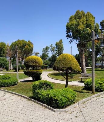 Sahil Park
