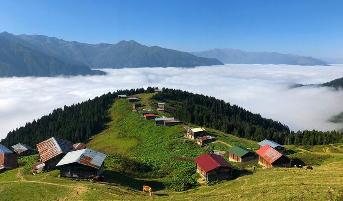 Pokut Sal Yaylası Turu