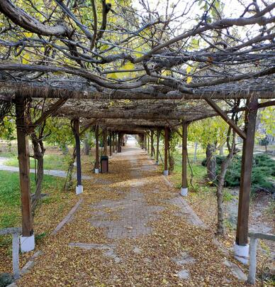 Asırlık Büyük Park