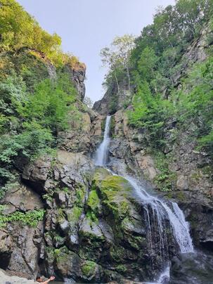 Yalova Kent Ormanı