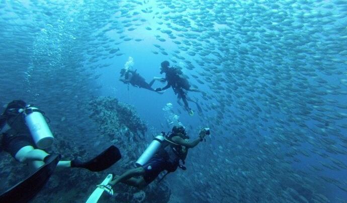 Didim Milet Diving Center