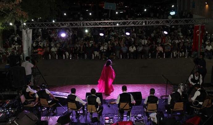 Ağın Leblebi, Dut ve Pekmez Festivali