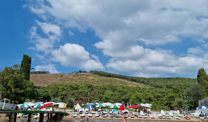 Çam Limanı Plajı Heybeliada