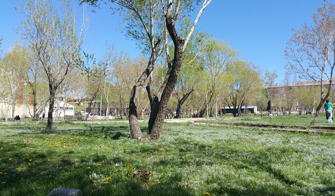 Mehmet Akif Ersoy Parkı