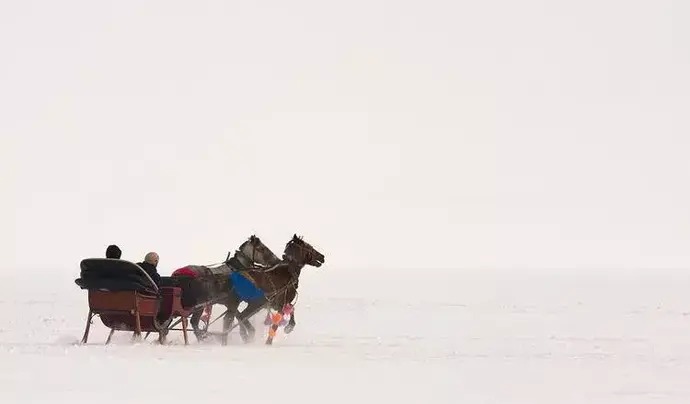 Atlı Kızakla Safari & Kar Kızağı