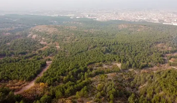 Eskişehir Kent Ormanı