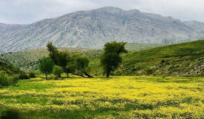 Sarıot Yaylası