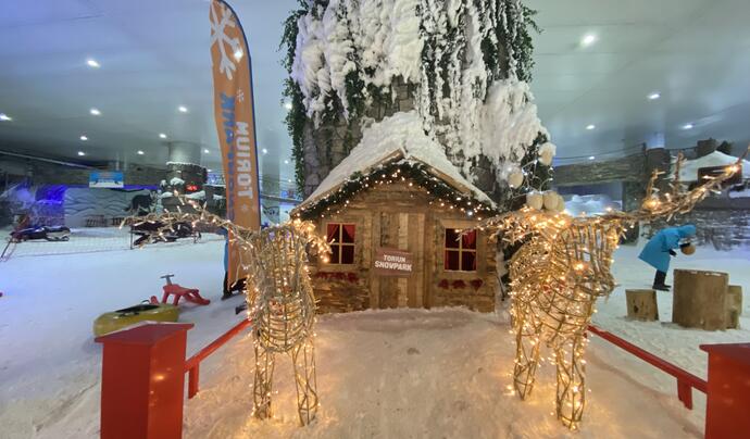 Snowpark İstanbul