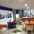 Gozde Deniz Boutique HotelLobi & Oturma Alanları - Görsel 3