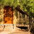 Tree Houses PansiyonOda Özellikleri - Görsel 9