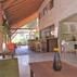 Olympos Village HotelAktivite - Görsel 7