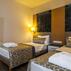 Avena Resort & Spa HotelOda Özellikleri - Görsel 10