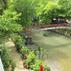 Arikanda River Garden HotelGenel Görünüm - Görsel 2