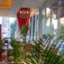 Elegance Asia HotelOtel Olanakları - Görsel 6
