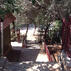 Kaş Olympos MocampGenel Görünüm - Görsel 8