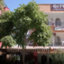 City Otel & Pension KuşadasıGenel Görünüm - Görsel 7