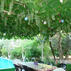 Antalya Farm HouseGenel Görünüm - Görsel 8