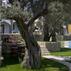 Le Jardin D'oliviers YalıkavakGenel Görünüm - Görsel 1