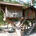 Türkmen Tree HousesGenel Görünüm - Görsel 3