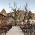 Cappadocia Sightseeing HotelRestoran - Görsel 5