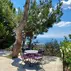 Malikane Luxury ResortBahçe & Oturma Alanları - Görsel 16