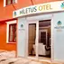 Miletus Otel ŞileGenel Görünüm - Görsel 3