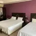 Cosmos Hotel İstanbulOda Özellikleri - Görsel 7