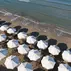 Kalia Beach HotelHavuz & Plaj - Görsel 8