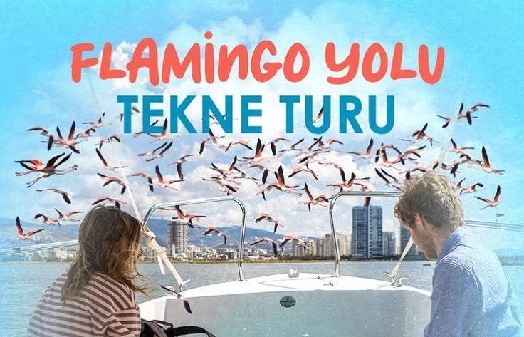 İzmir'de Her Mevsim Yapabileceğiniz Bir Kuş Gözlemi: Flamingo Yolu Tekne Turu