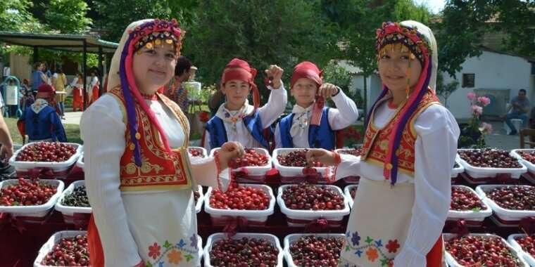 Tekirdağ Kiraz Festivali