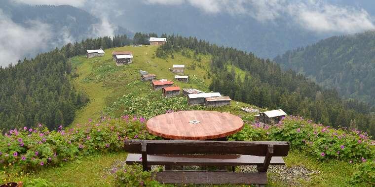 Rize'nin Bol Oksijenli Atmosferi: Pokut Yaylası Hakkında Her Şey