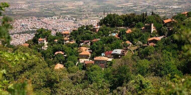 İzmir Tire Hakkında Her Şey