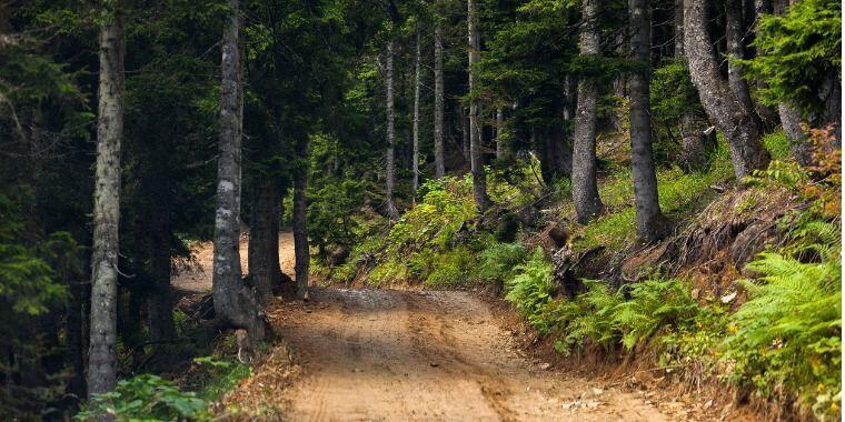 Batı Karadeniz'in İncisi: Amasra'nın Tüm Güzelliklerini Keşfedin