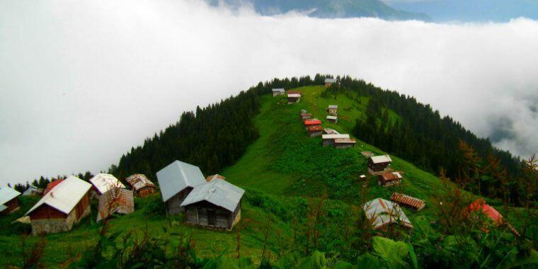 Pokut Yaylası