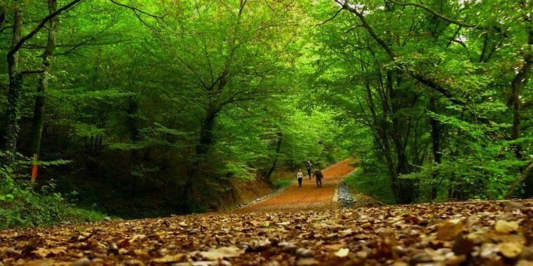 belgrad ormanı yapılacak şeyler