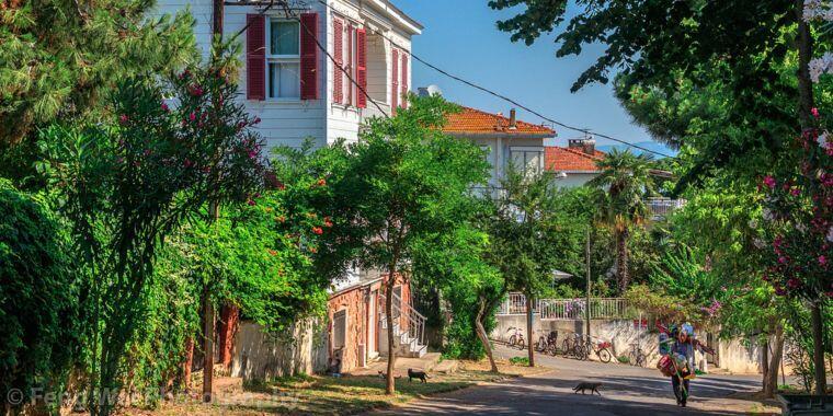 İstanbul'un Gözde Gezi Rotası: Büyükada Hakkında Her Şey