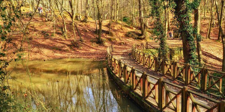 belgrad ormanı