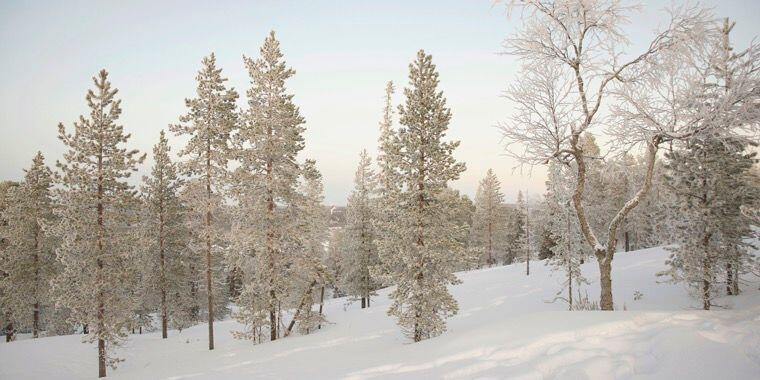 Lapland Beyaz Sessizlik