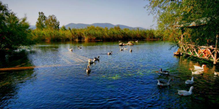 akyaka azmak nehri