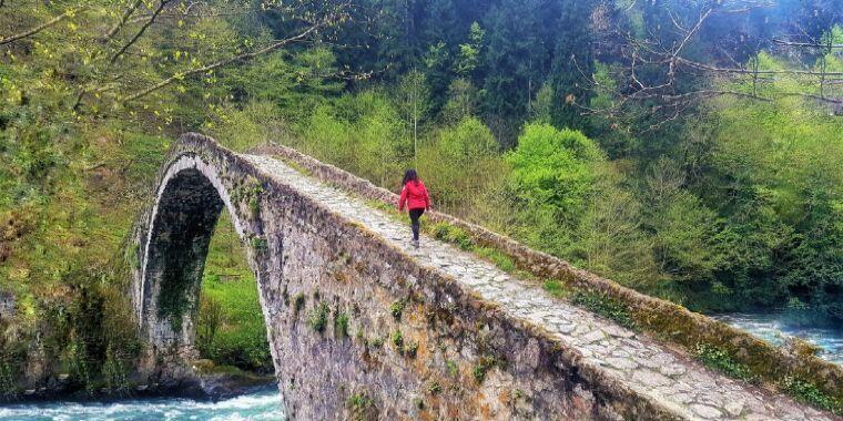 Yemyeşil Doğasıyla Enfes Karadeniz Rotaları