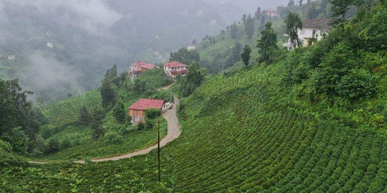 Yemyeşil Doğasıyla Enfes Karadeniz Rotaları