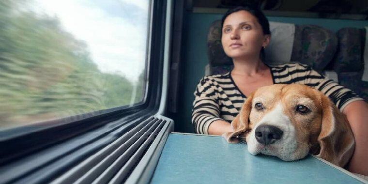 Evcil Hayvanla Tren Yolculuğu